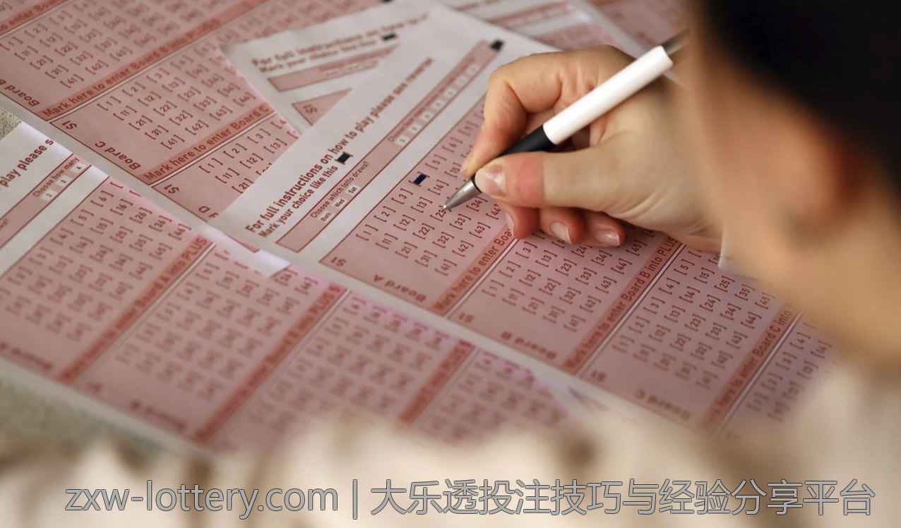 大乐透投注技巧与经验分享平台